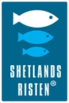 Shetlands-risten-R